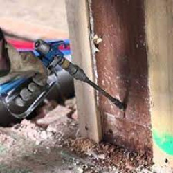 2 BHK Termite Control